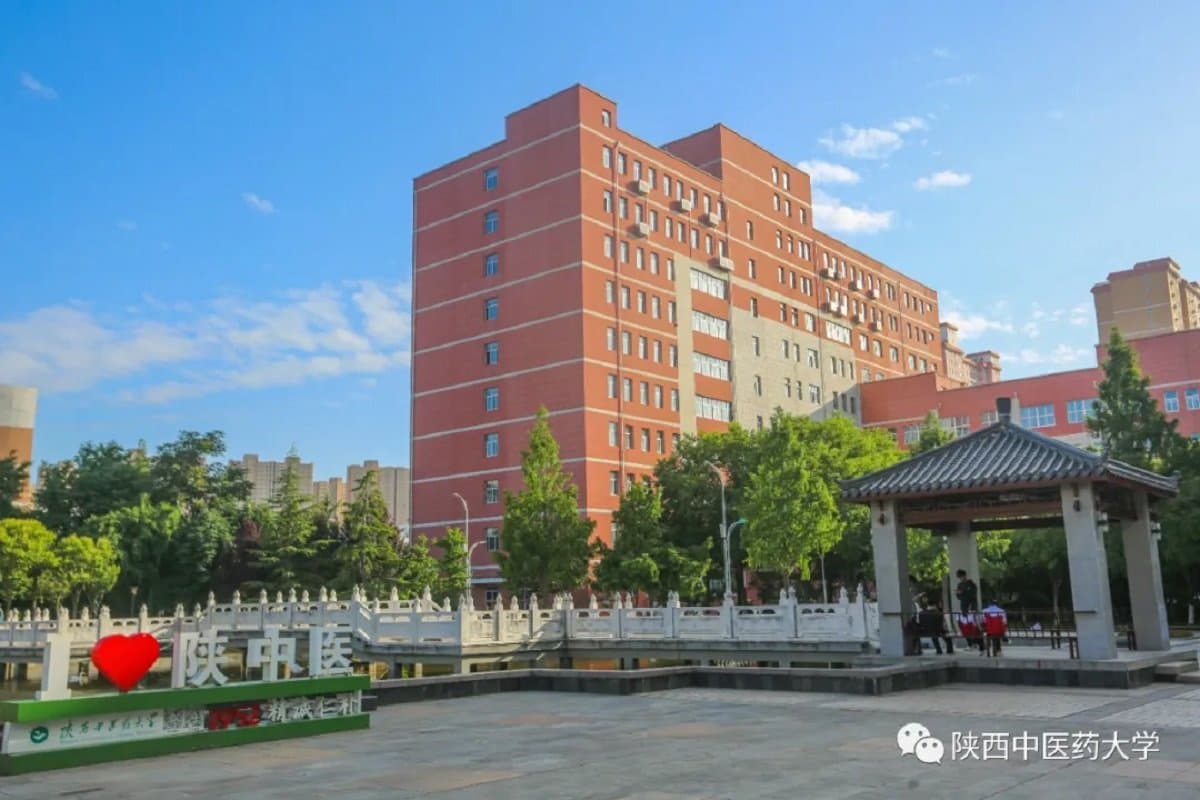Шэньсийский университет традиционной китайской медицины, фото 3