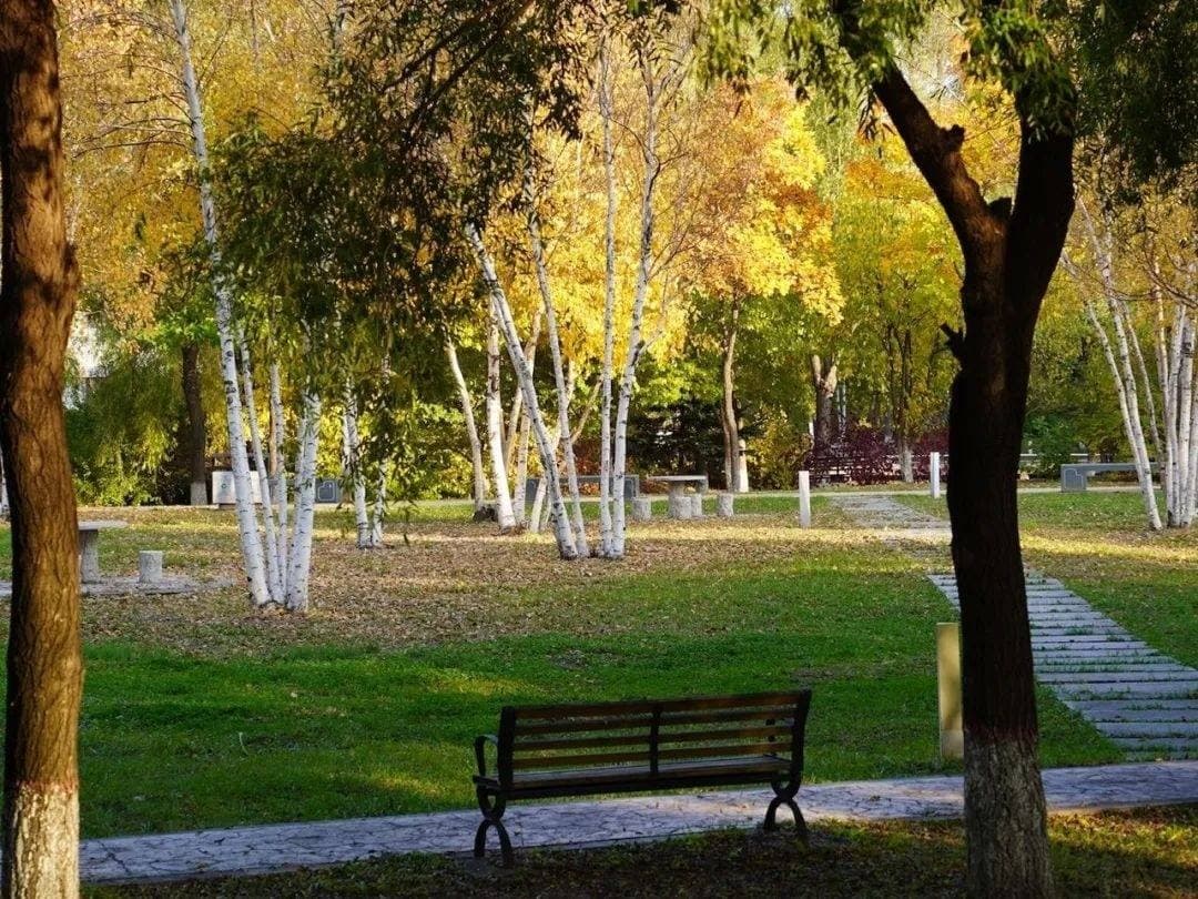 Харбинский железнодорожный профессионально-технический колледж, фото 4