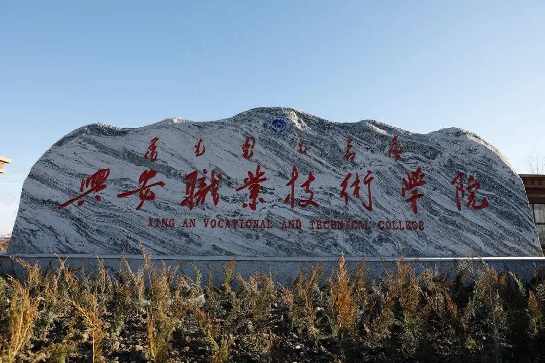 Хинганский профессионально-технический университет, фото 3