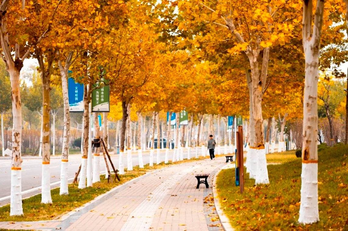 Дунинский профессиональный колледж, фото 3