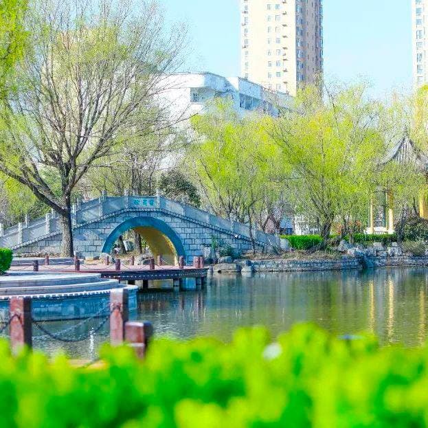 Цзаочжуанский научно-технический профессиональный колледж, фото 3