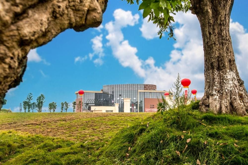 Лучжоуский профессионально-технический колледж, фото 4